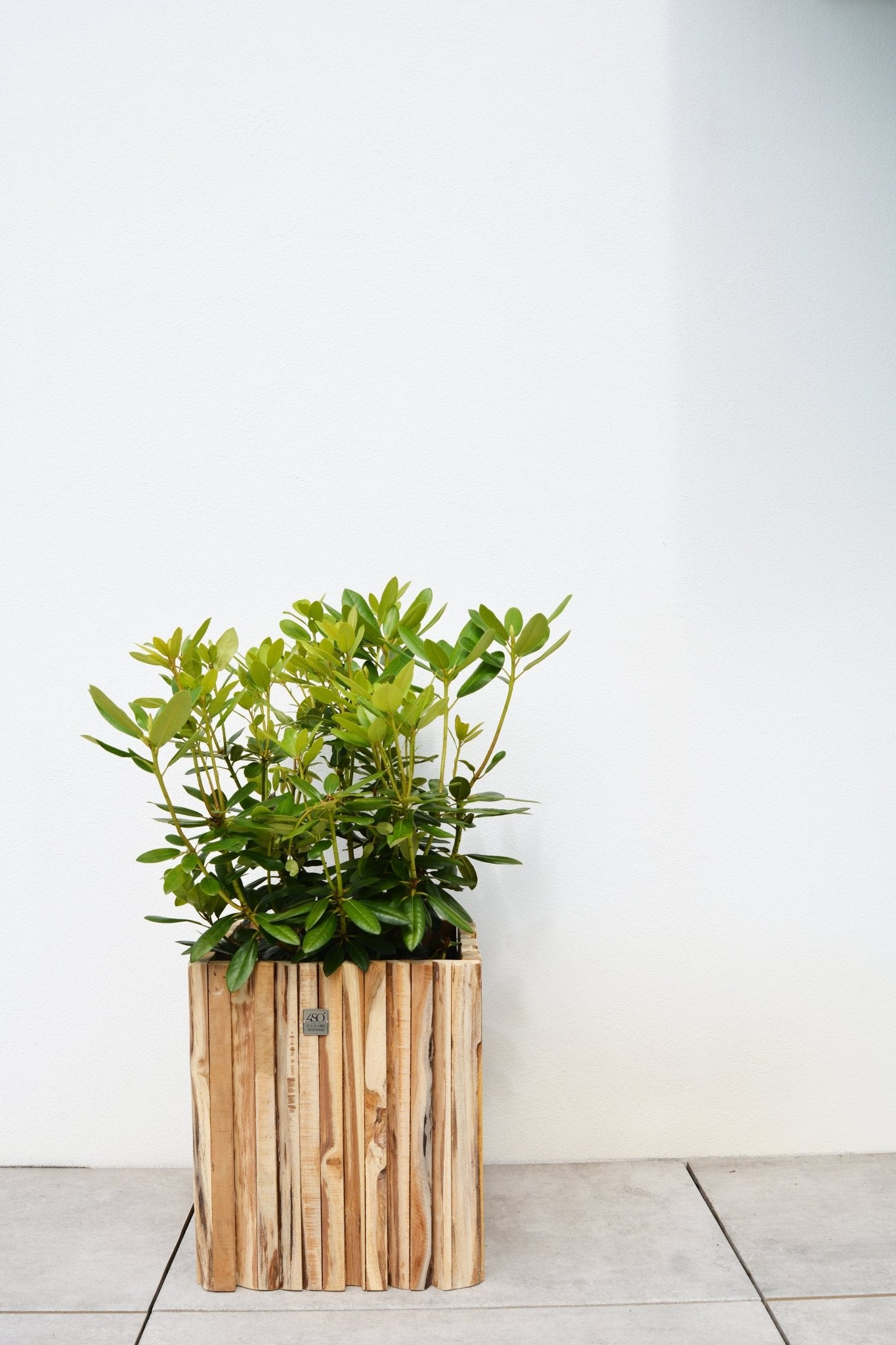 Miguel Planter Small Square - Ideal Furniture ES