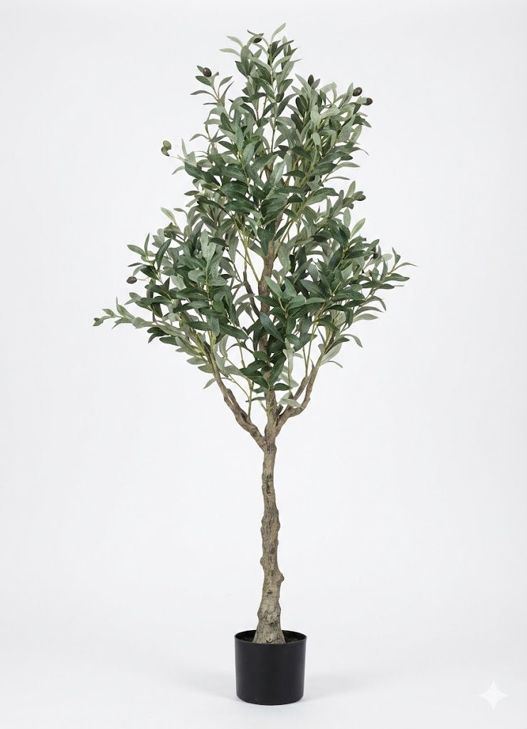 Olive tree - Ideal Furniture ES