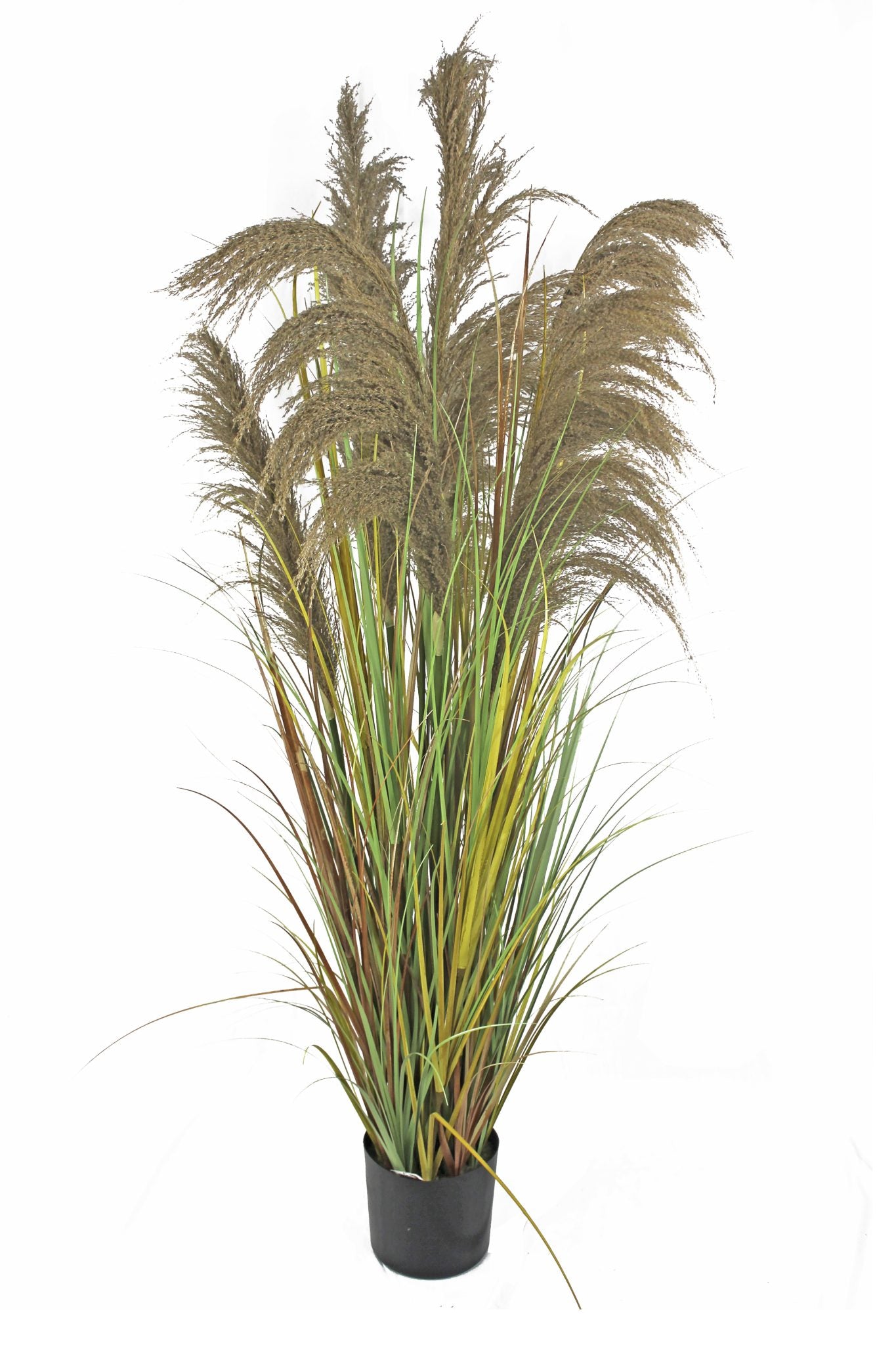 Junco con plumero artificial plant - Ideal Furniture ES