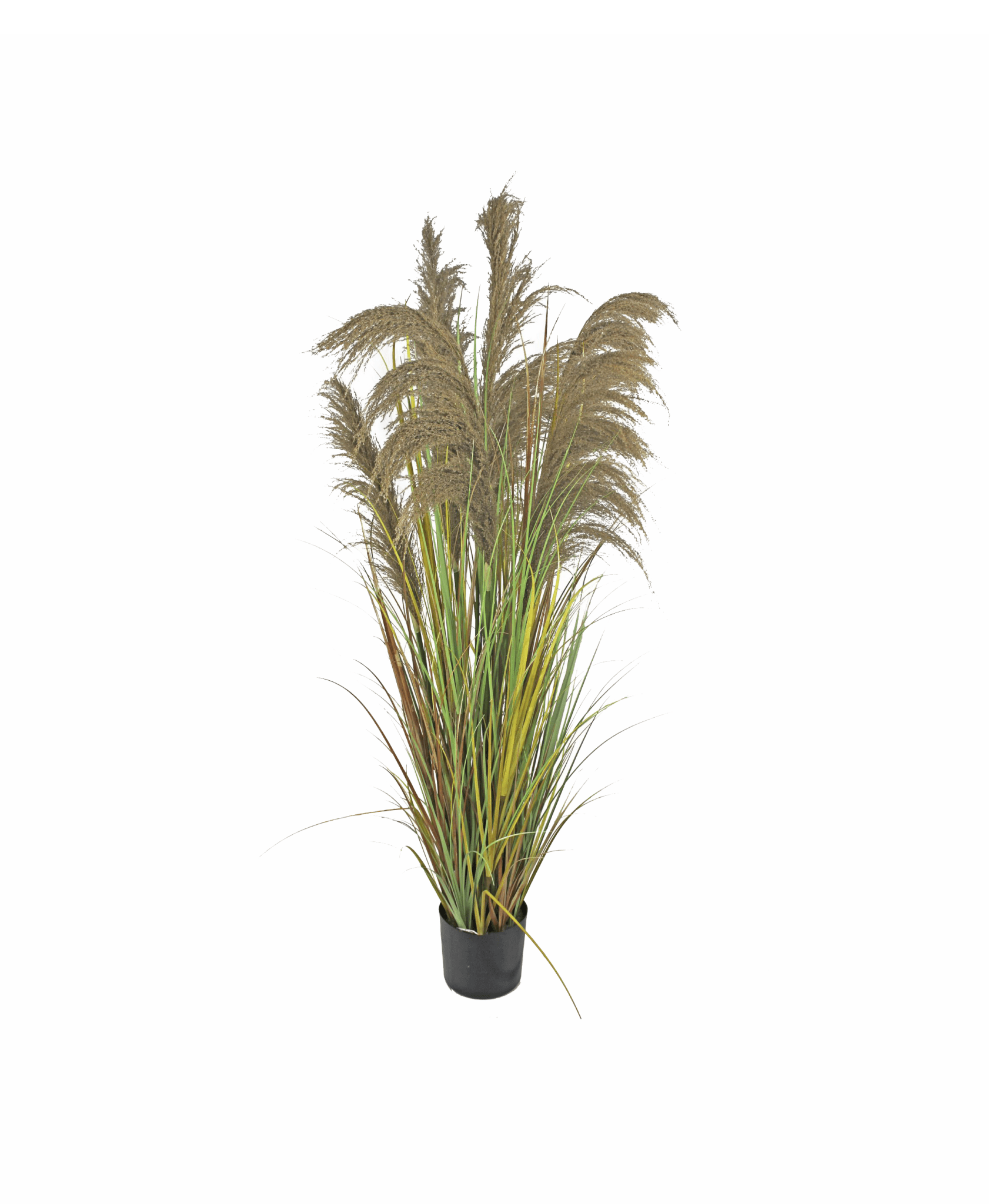 Junco con plumero artificial plant - Ideal Furniture ES
