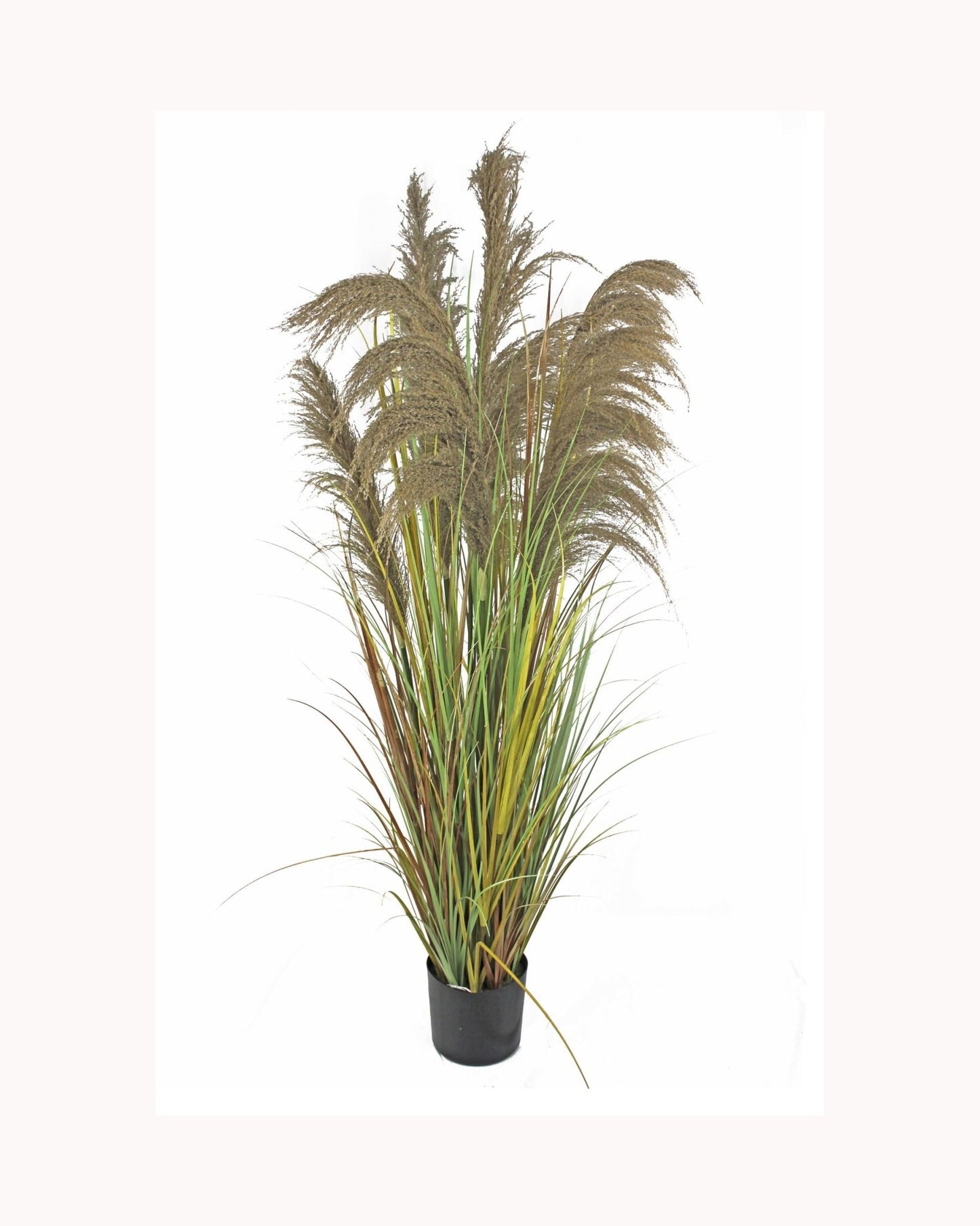 Junco con plumero artificial plant - Ideal Furniture ES
