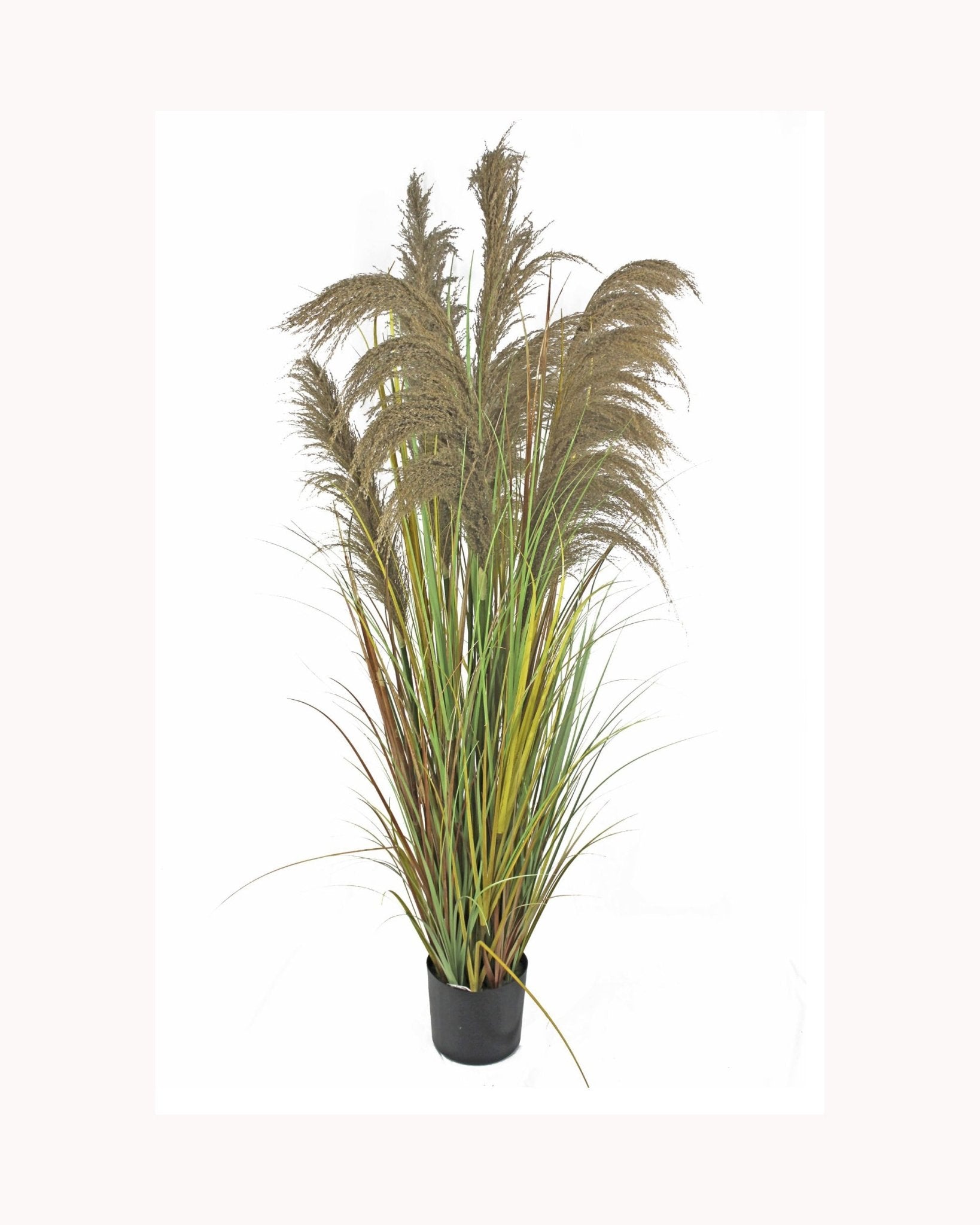 Junco con plumero artificial plant - Ideal Furniture ES