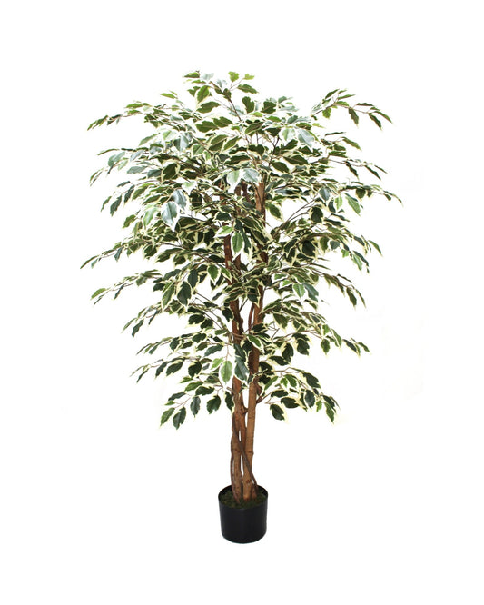 Ficus tree artificial plants . - Ideal Furniture ES