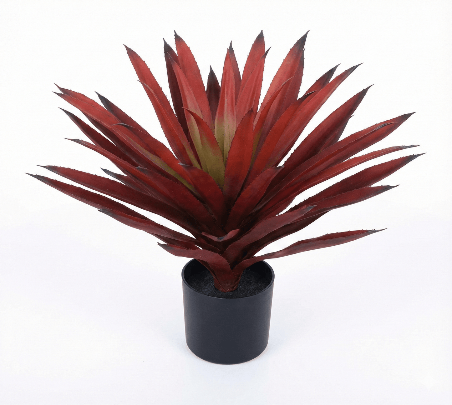 Red agave - Ideal Furniture ES