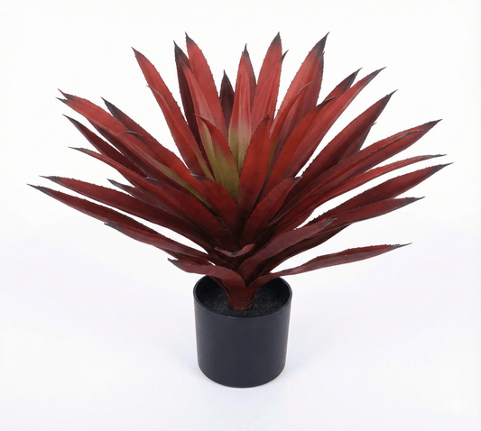 Red agave - Ideal Furniture ES