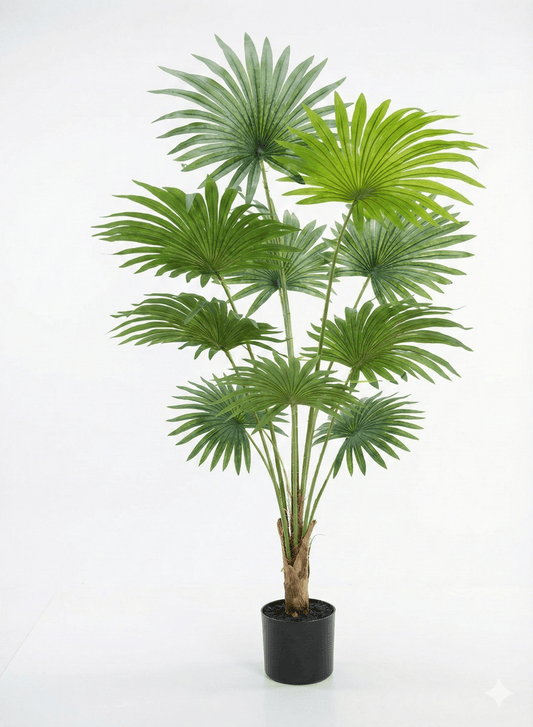 Fan flower plant - Ideal Furniture ES