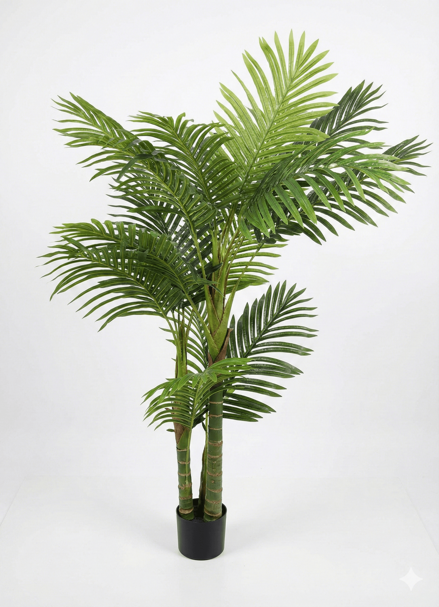 Palm tree - Ideal Furniture ES