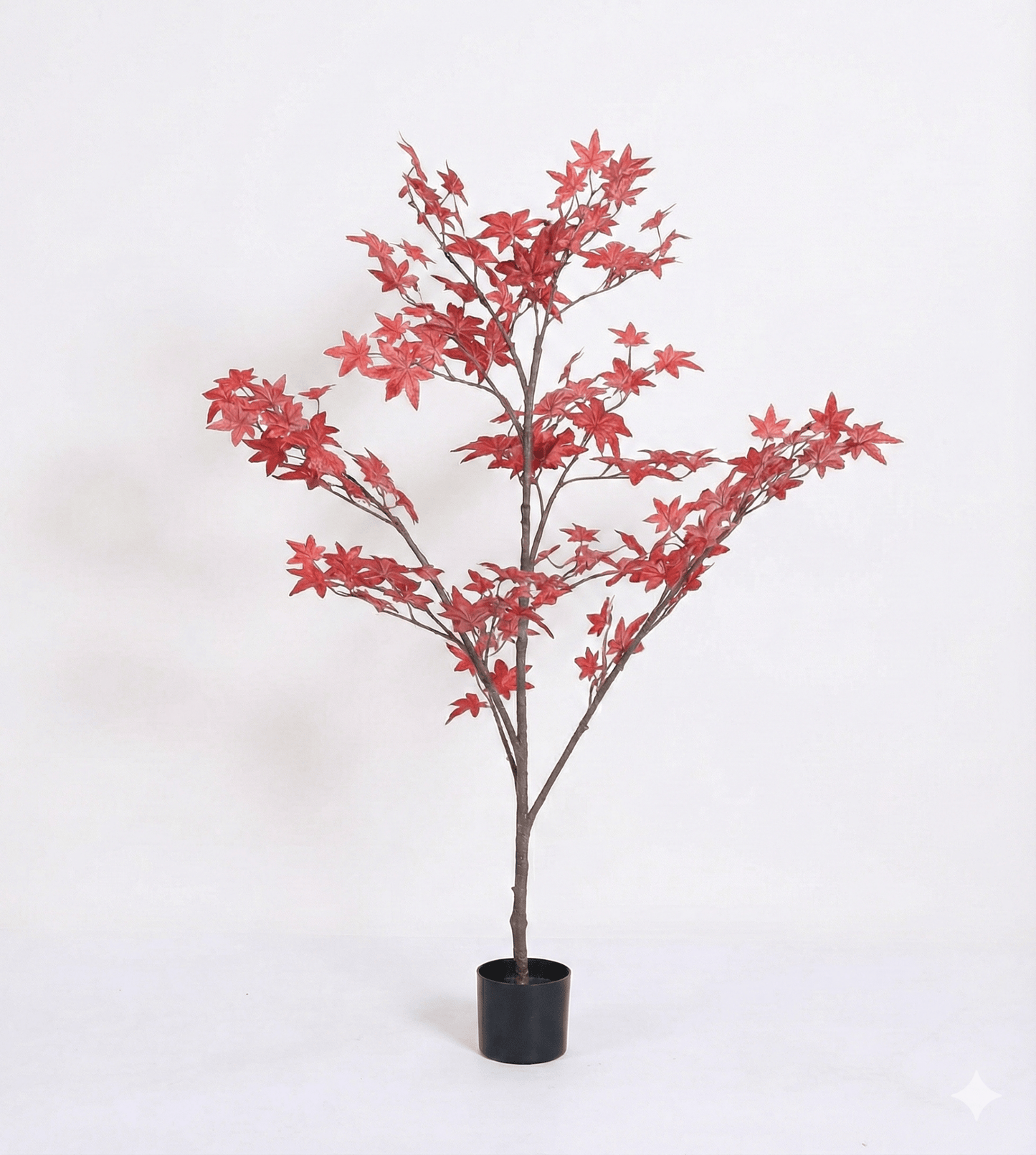 Red maple tree - Ideal Furniture ES