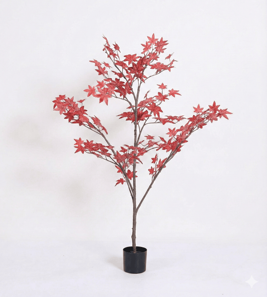 Red maple tree - Ideal Furniture ES