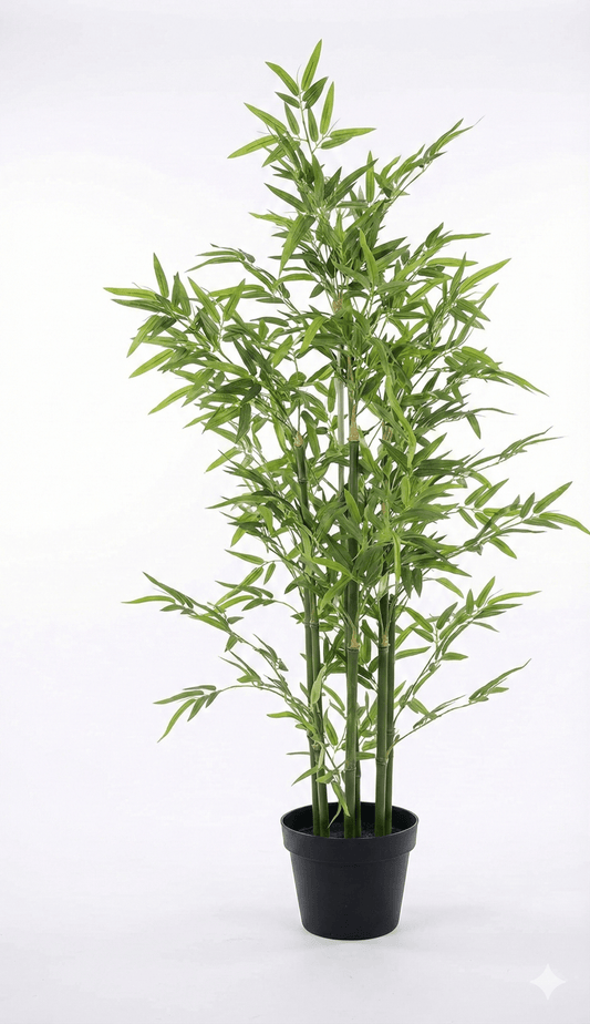 Bamboo plant - Ideal Furniture ES