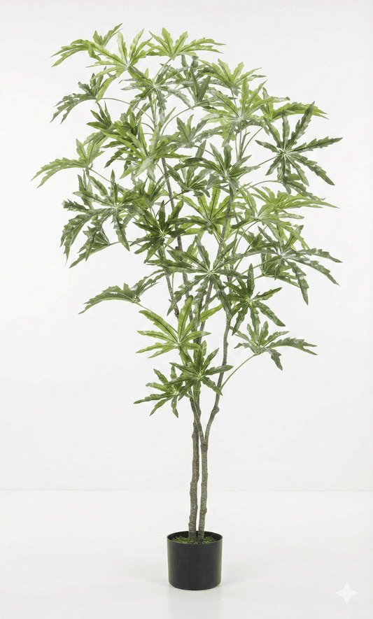 Banana tree - Ideal Furniture ES