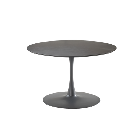 DT-916 Dining Table