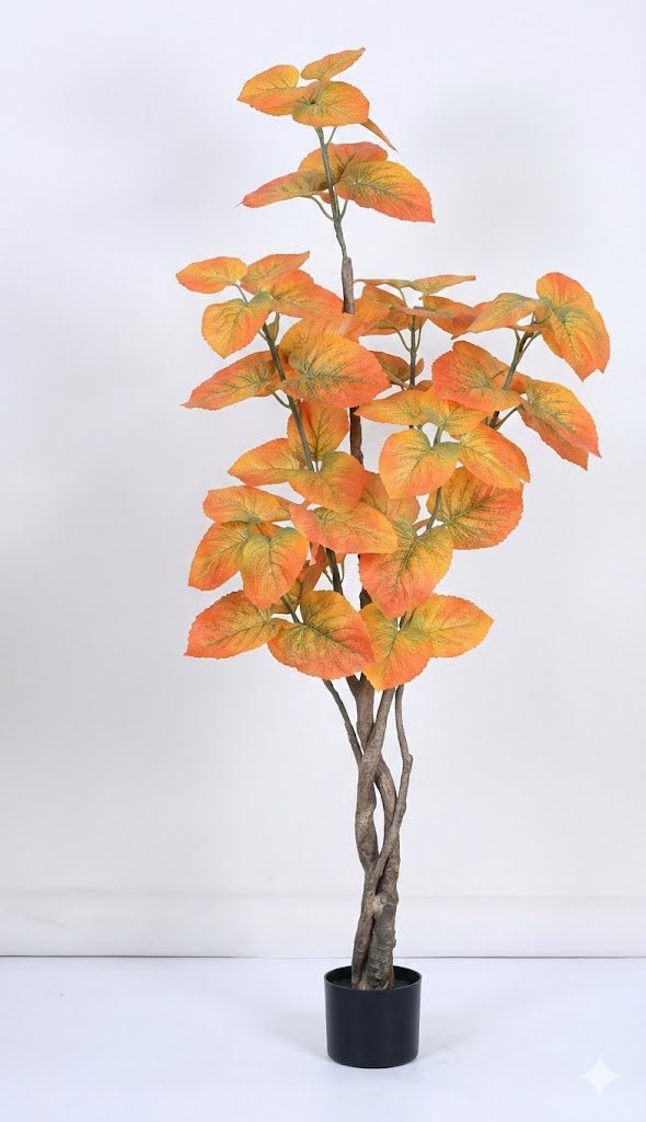 Heart leaved fig - Ideal Furniture ES