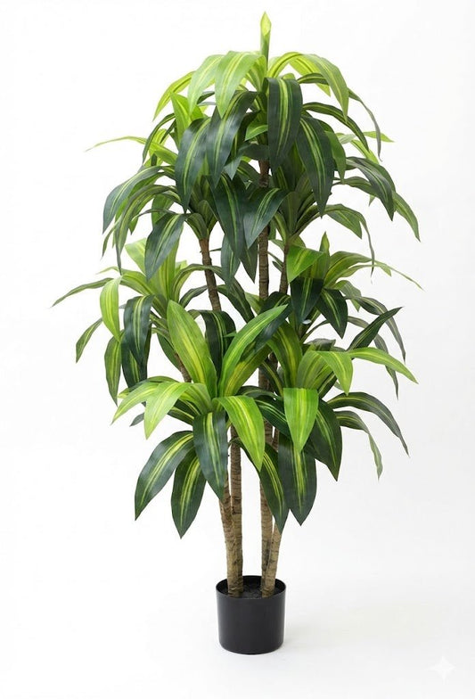 Brazilian walnut plant - Ideal Furniture ES