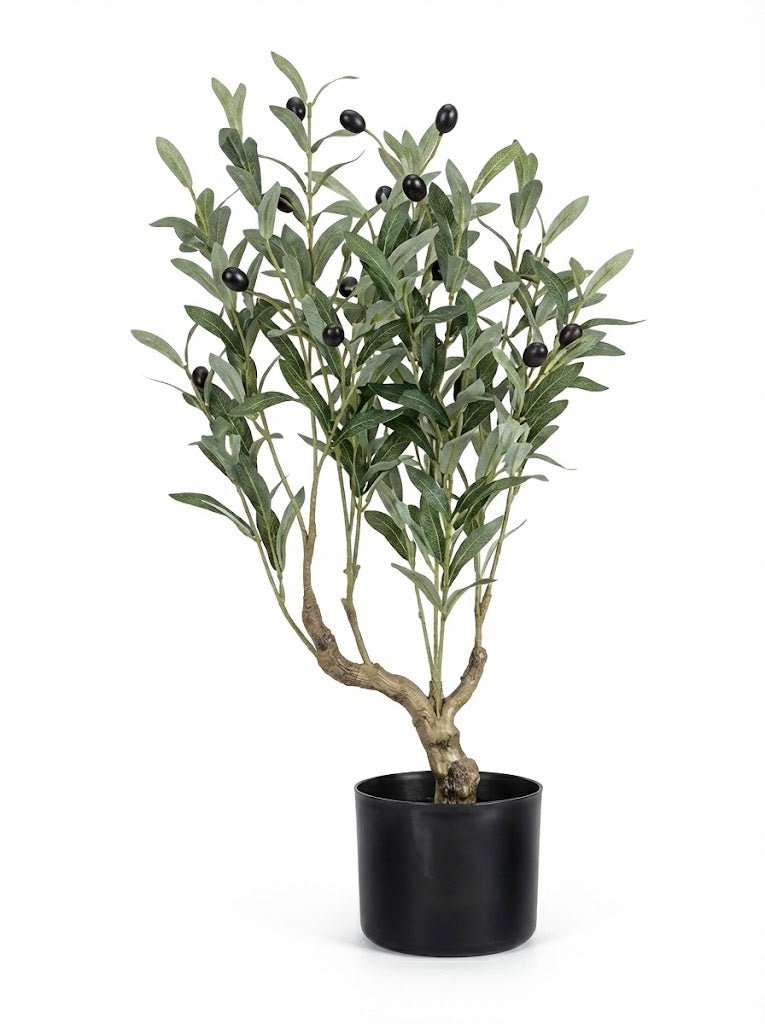 Olive tree - Ideal Furniture ES