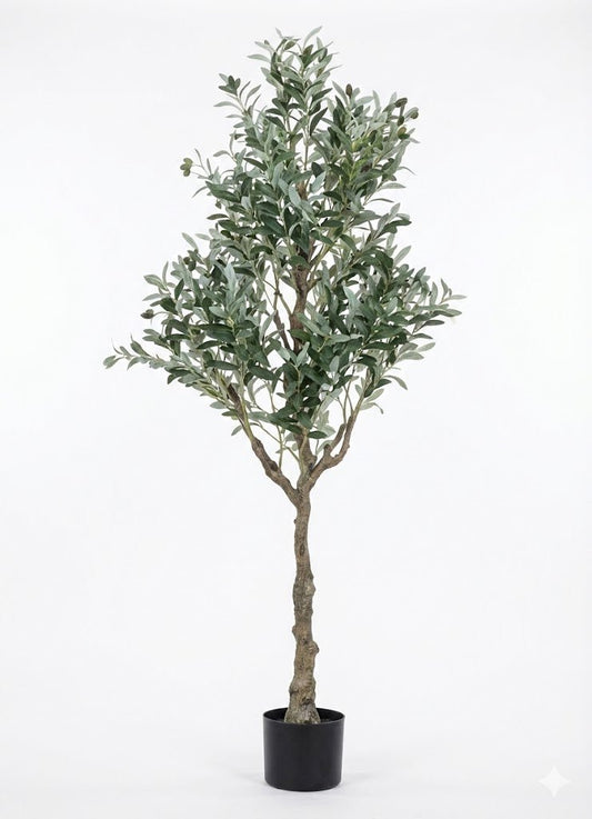 Olive tree - Ideal Furniture ES