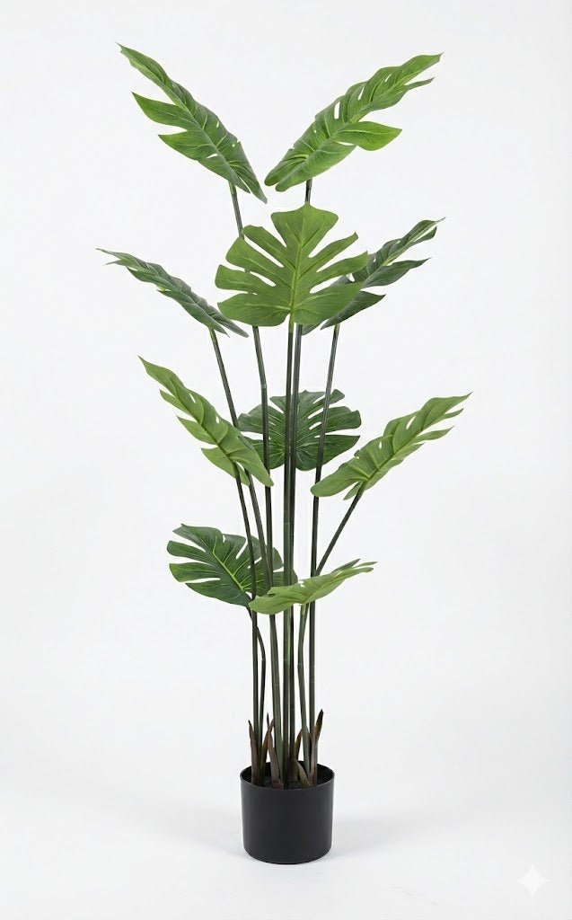 Tortoise shell leaf plant - Ideal Furniture ES