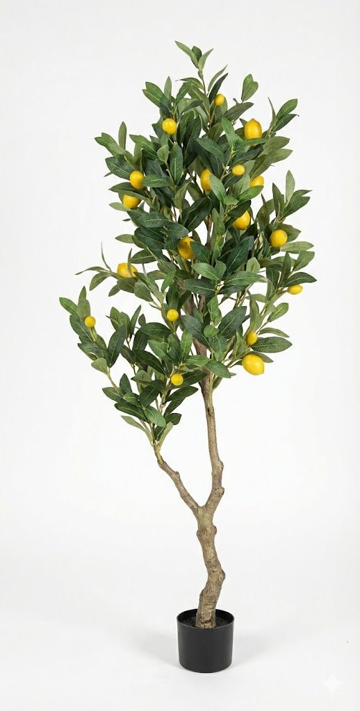 Lemon tree - Ideal Furniture ES