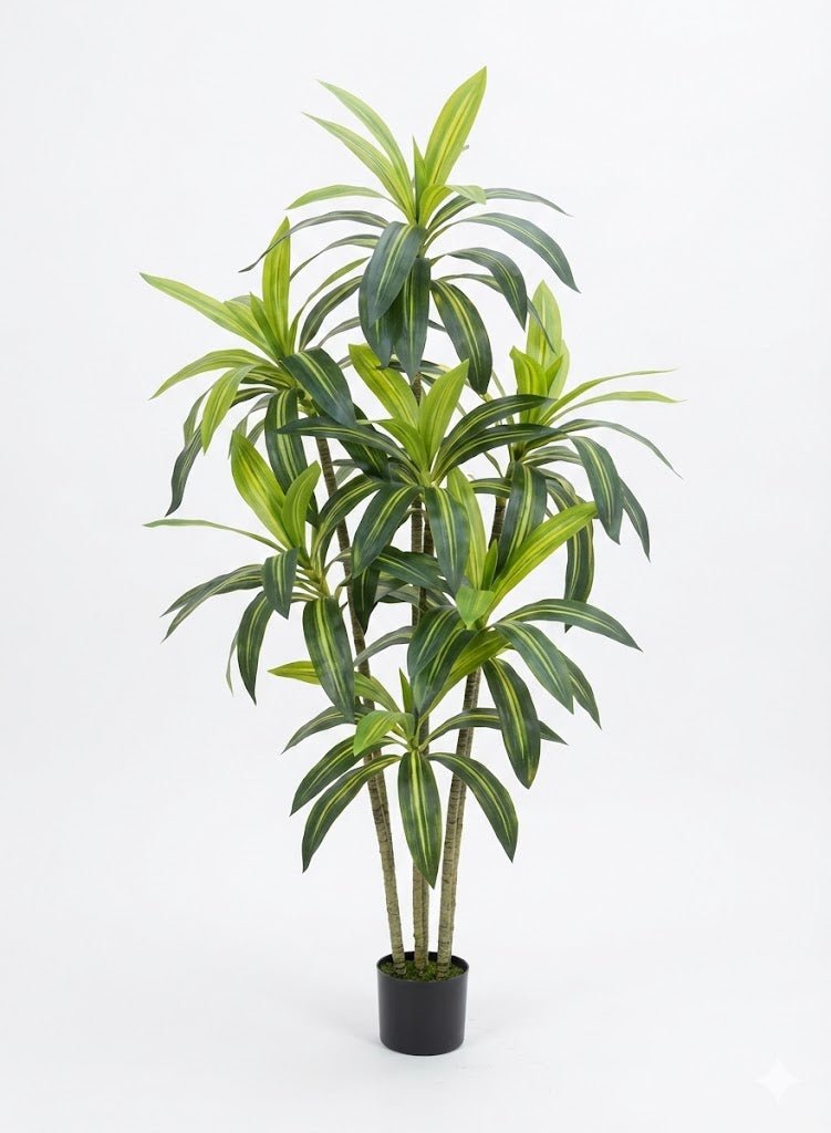 Brasil tree - Ideal Furniture ES