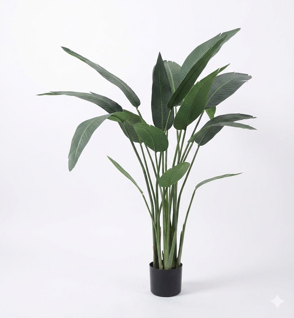 Bird of paradise plant - Ideal Furniture ES