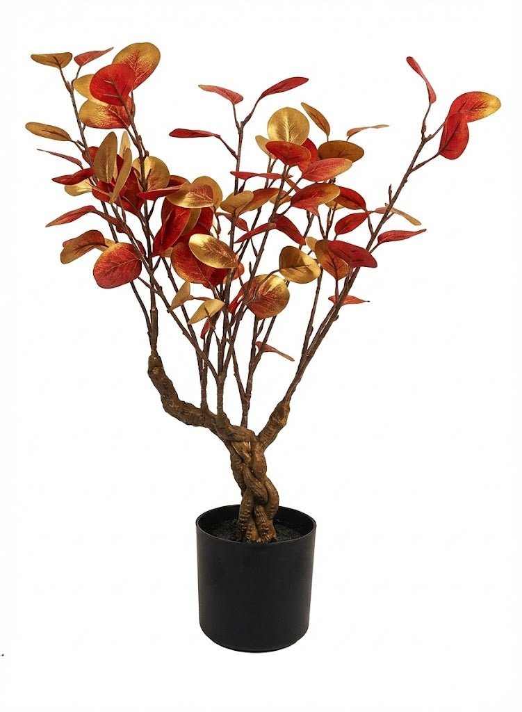 Red Money tree - Ideal Furniture ES