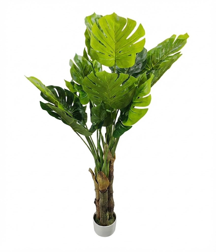 Taro leaves plant - Ideal Furniture ES